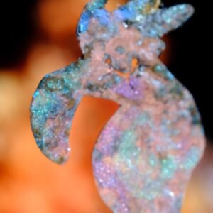 Pendientes Tucanes de colores “Brisa de Luz”